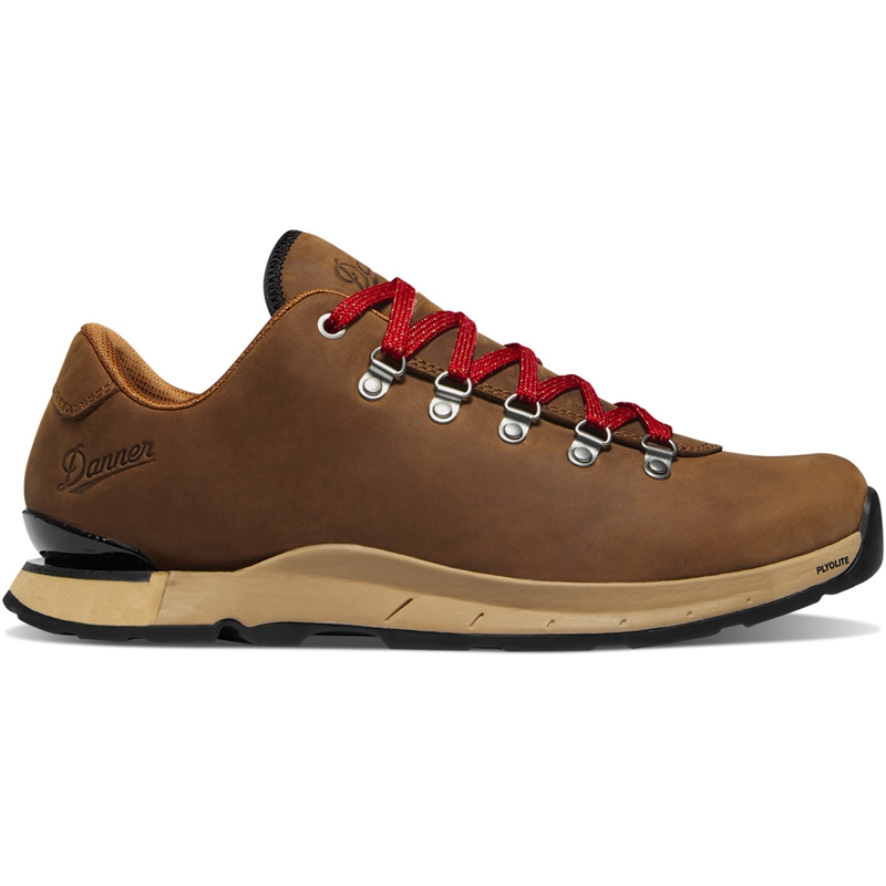 Brown Danner Mountain Overlook Men's Hiking Boots | ZYEXCUL-73