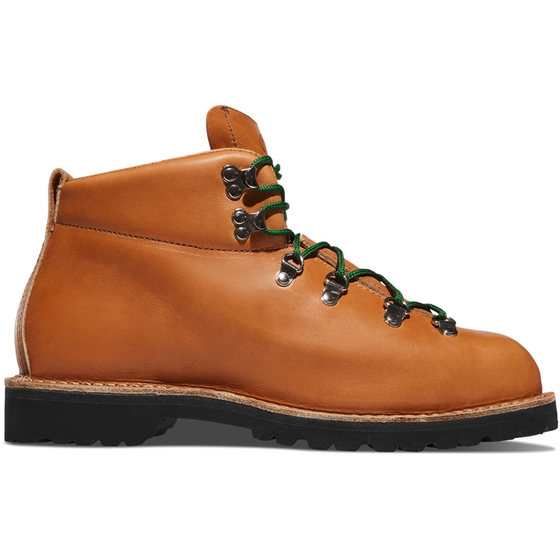 Brown Danner Mountain Trail Men's Hiking Boots | VKOGECW-51