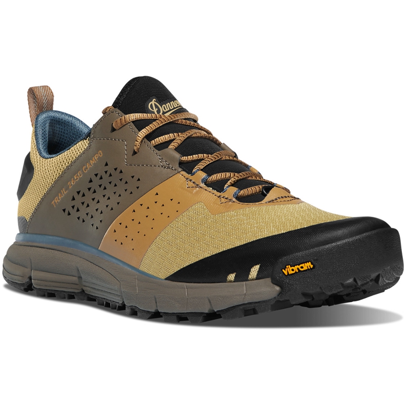 Brown / Blue Danner Trail 2650 Campo Men's Hiking Boots | RLOMJHP-84